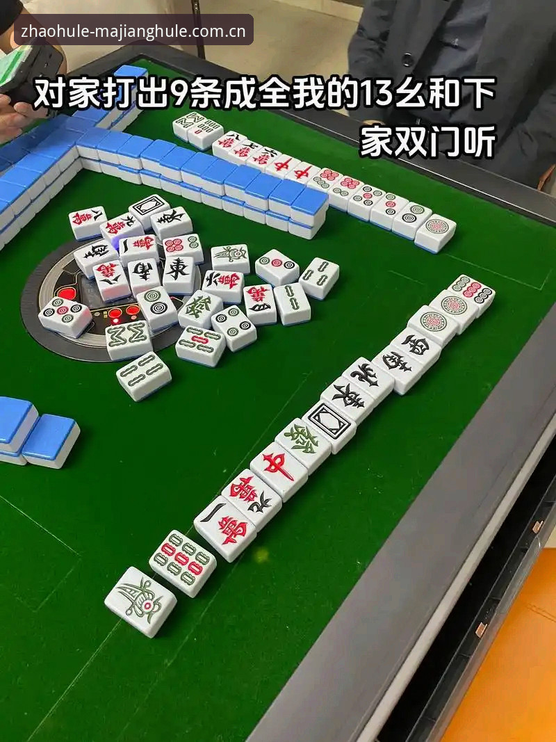 麻将胡了官方渠道下载不了怎么办？2024稳定访问深度分析与解决方案